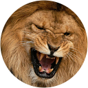 Keelin Perala Keelin Perala